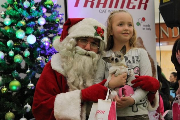 SAVRŠEN PROVOD ZA SVE LJUBIMCE: Deda Mraz i ove godine deli paketiće u Delta City-ju deda mraza petface