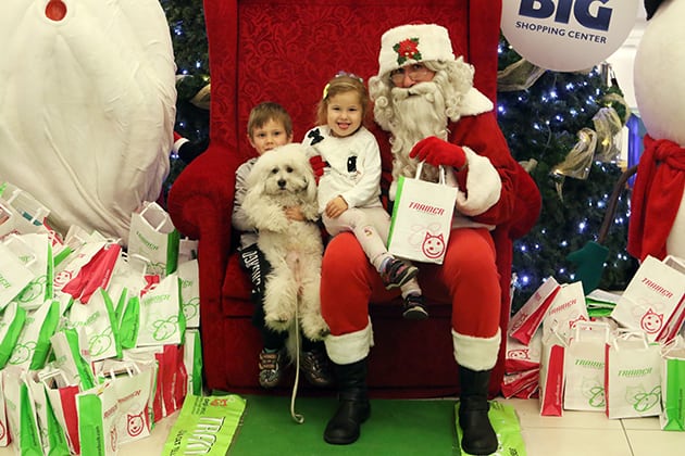 decembru petface decembru petface