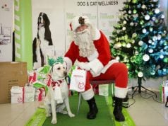 Proglašeni dugo iščekivani DEDA MRAZOVI POMOĆNICI proglašeni petface