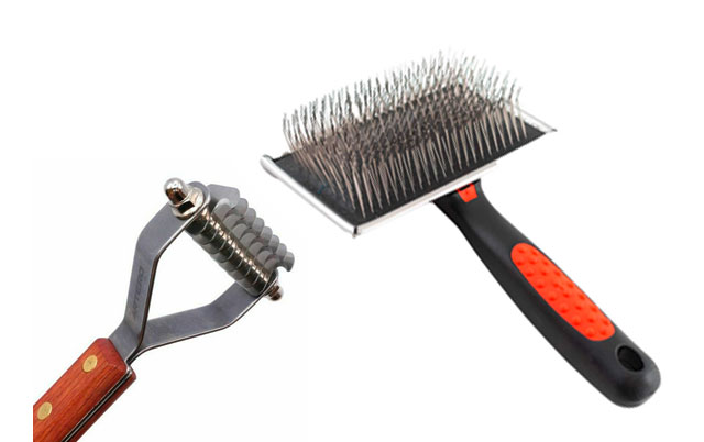 Nega krzna pasa sa podlakom