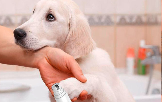 Sečenje noktiju kod pasa