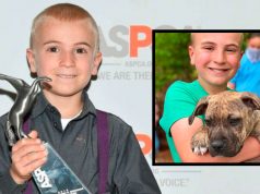 ODRASLI, ČITAJTE I UČITE! – Sedmogodišnji dečak spasao preko 4.000 napuštenih pasa! Dečak Roman