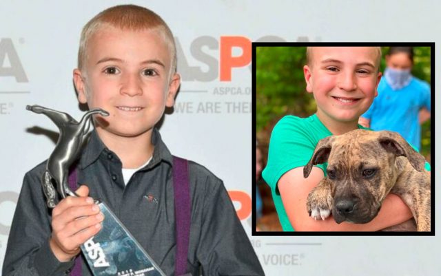 Dečak-featured Dečak Roman