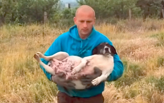 Trudna kuja i spasilac