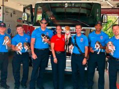 POROĐAJ U VATROGASNOJ STANICI! – Trudna kujica sama potražila pomoć od najboljih ljudi. Vatrogasci pomogli kujici