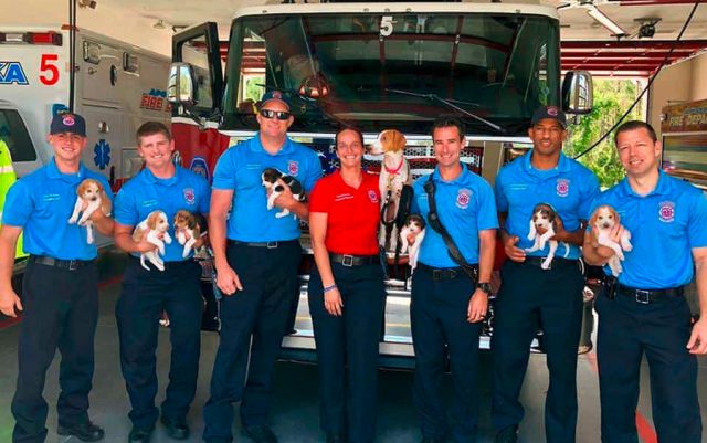 Vatrogasci-featured Vatrogasci pomogli kujici